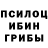 Галлюциногенные грибы мухоморы Brono Mars