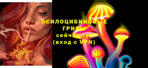бошки Абаза