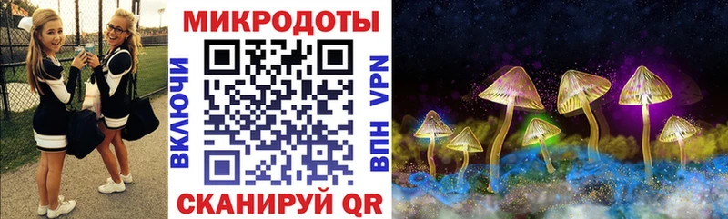 Псилоцибиновые грибы Psilocybe mega маркетплейс Среднеколымск наркота